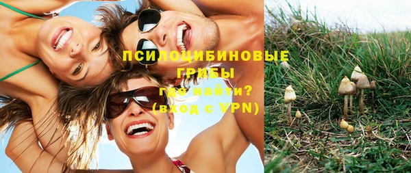 эйфоретик Абинск
